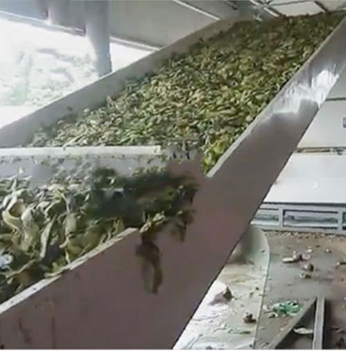 Winter melon peel dryer