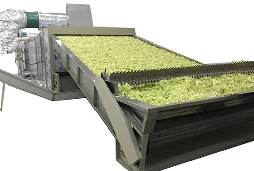 Food dryer